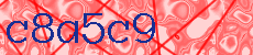 c8a5c9